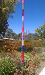 Yarn Bombing Near the Botanic Gardens